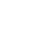 icon-2025-1