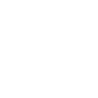 icon-2025-3